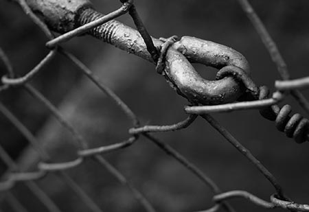 fence-links