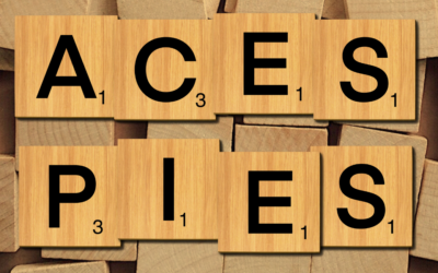 Understanding ACES and PIES Data: A Comprehensive Guide for the Automotive Aftermarket Industry